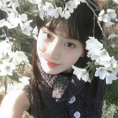 夺宝记